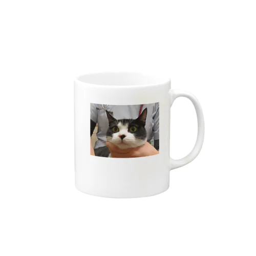 はちわれ猫 Mug