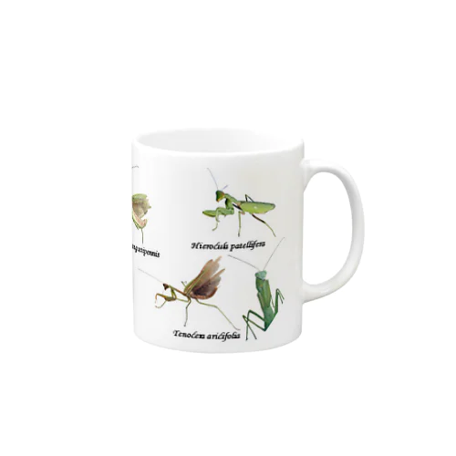 関東のカマキリ（旧学名・非推奨）マグカップ（全面ver） Mug