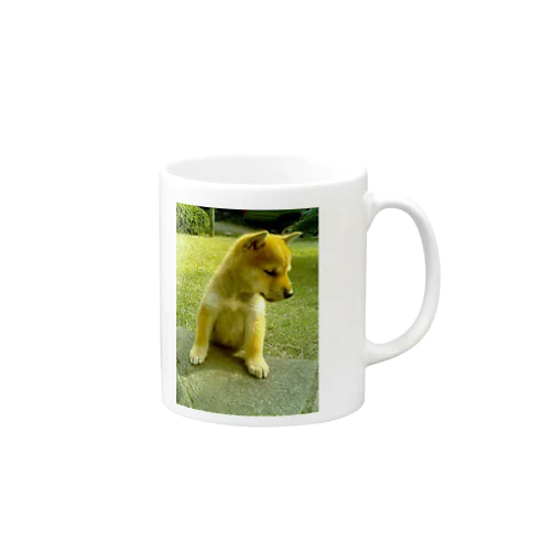 柴犬ライチ① Mug