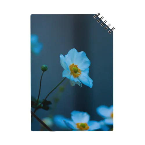 flower Notebook