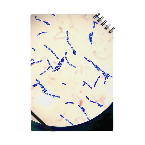 Yeast Micrograph Notebook