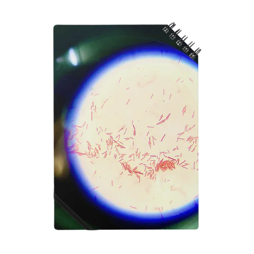 Gram-negative bacilli Micrograph ノート