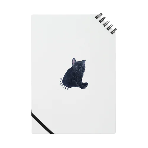 HACHIRO Notebook