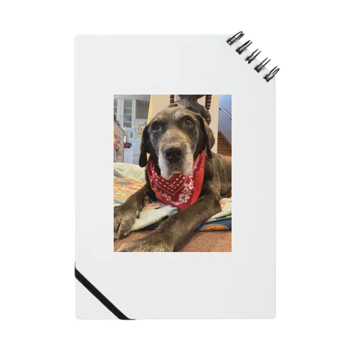 15th Notebook