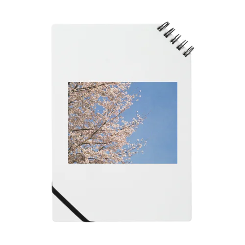 あの日の桜 Notebook