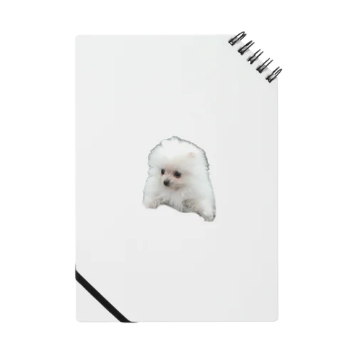 前を向くポメラニアン Notebook