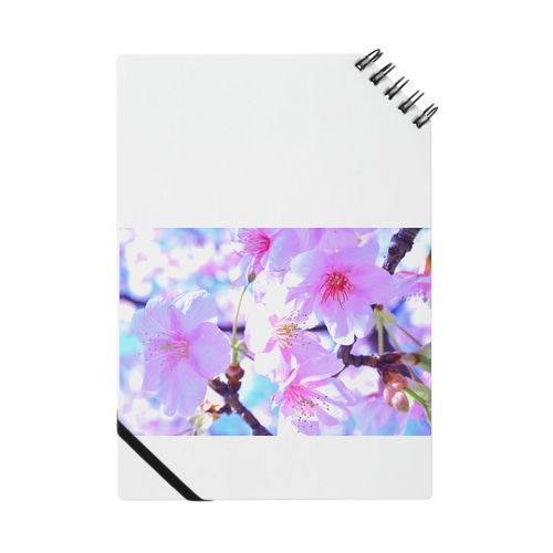 桜（実写） Notebook