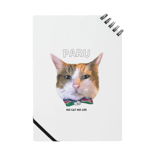 PARU Notebook