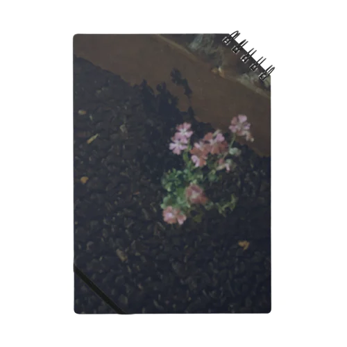 道端の花 Notebook
