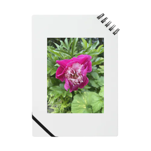 一輪の赤紫色の花 Notebook