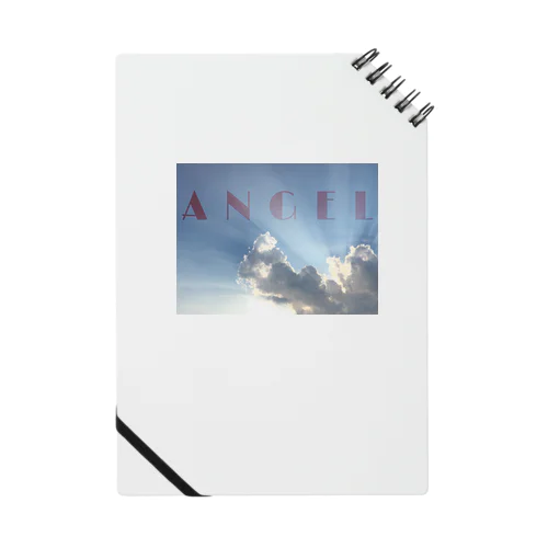 ANGEL Notebook