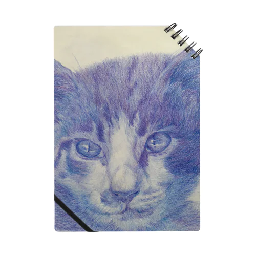 渋色猫 Notebook