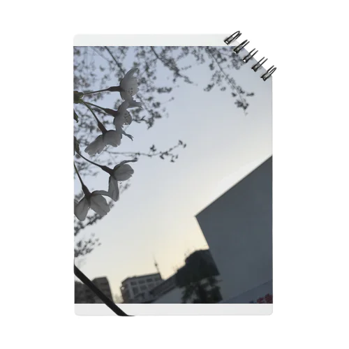 いけてるべ！ Notebook