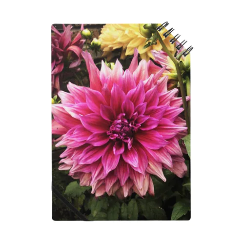 dahlia 4 Notebook