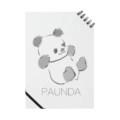 PAUNDA Notebook