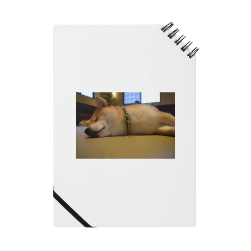 柴犬 Notebook