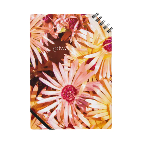 Ohana Notebook