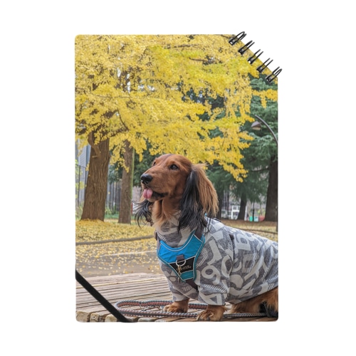ALEX Notebook