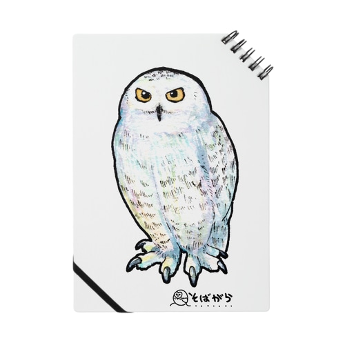 シロフクロウ Notebook