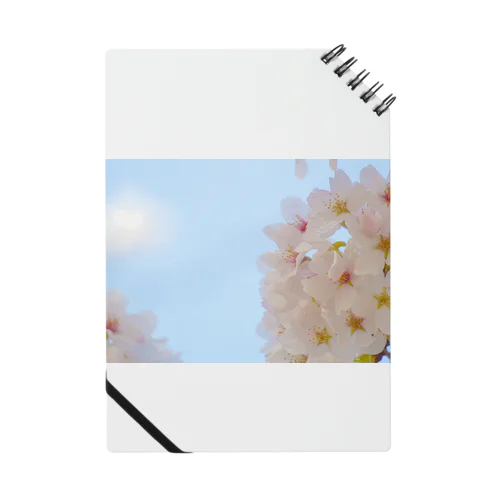 桜 Notebook
