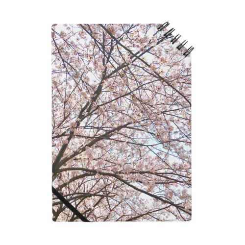 Sakura_saku Notebook