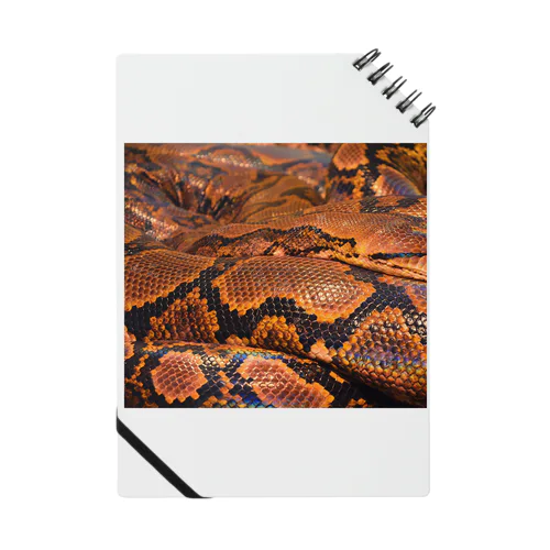 Real colorful snake skin Nr. 8,  本物 の カラフルな ヘビ 皮 No. 8,  8番 ノート