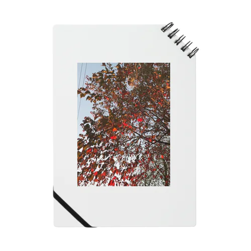 201910181619002　桜の紅葉 Notebook