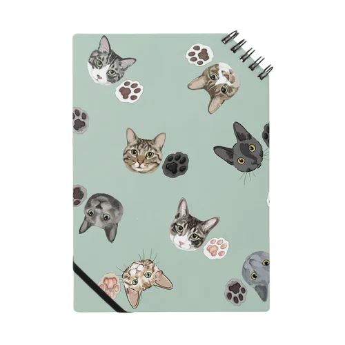 muchaguraainima Notebook