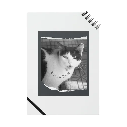 Cat Notebook