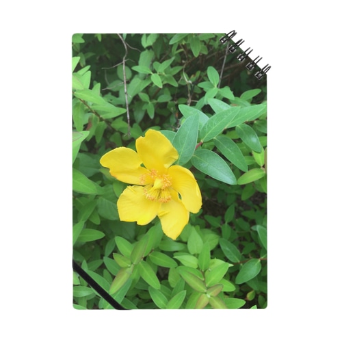 きいろいはな Notebook