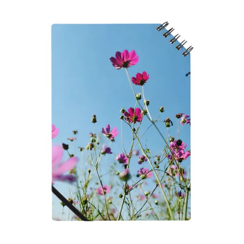 《花遊びPictures》コスモスとブルースカイ Notebook