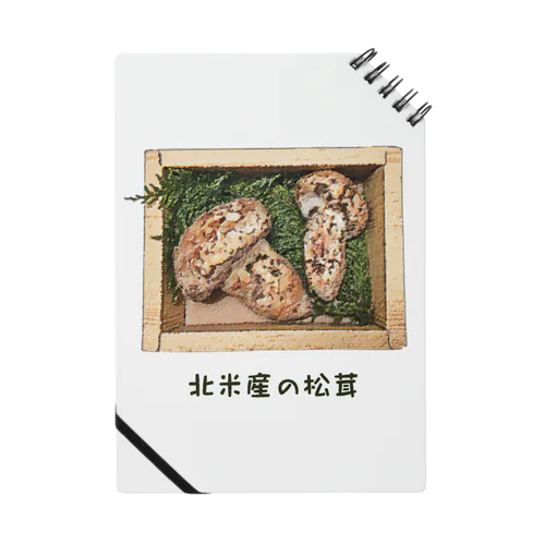 北米産の松茸_221029 Notebook