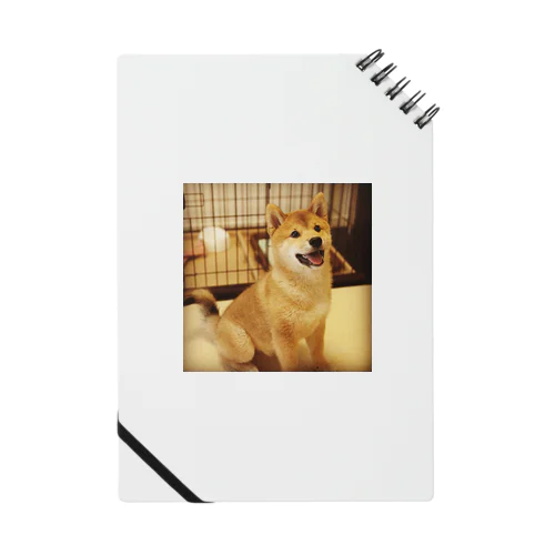 犬だよ〜 Notebook