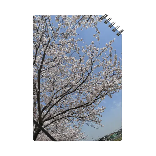 近所の桜 ノート