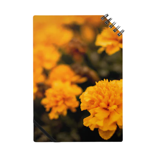 橙の花 Notebook