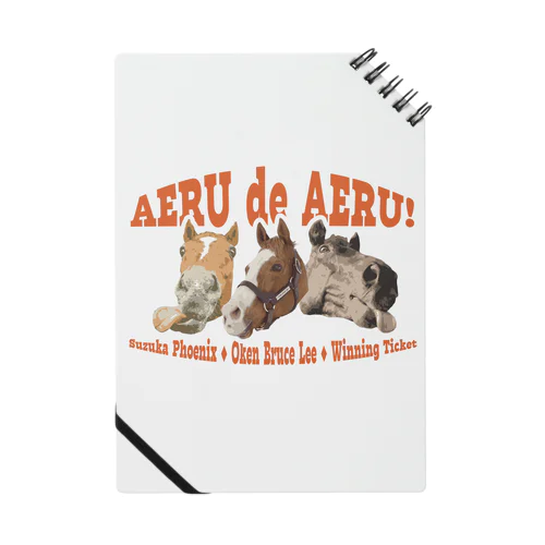 AERU de AERU! Notebook