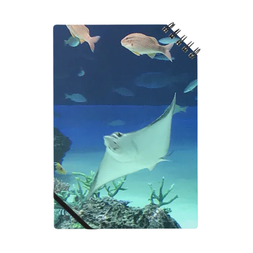 ocean Notebook