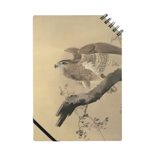 小原古邨　鷹　Ohara Koson / Falcon Notebook