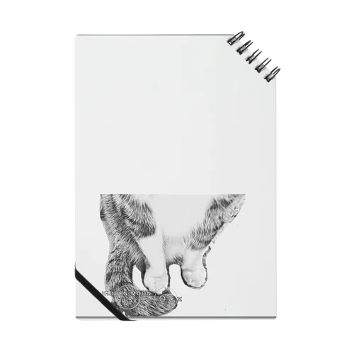 16 OC × Notebook