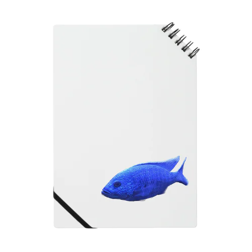 熱帯魚（アーリー） Notebook