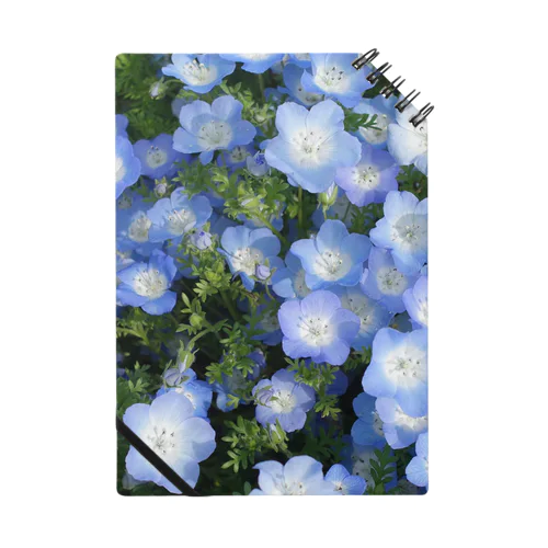 flower blue ノート