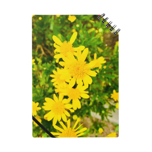 黄色の花 Notebook