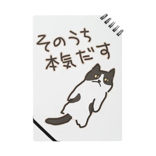 そのうちそのうち【ねこ】 ノート