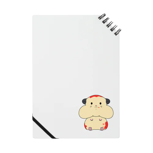 オムはむ Notebook