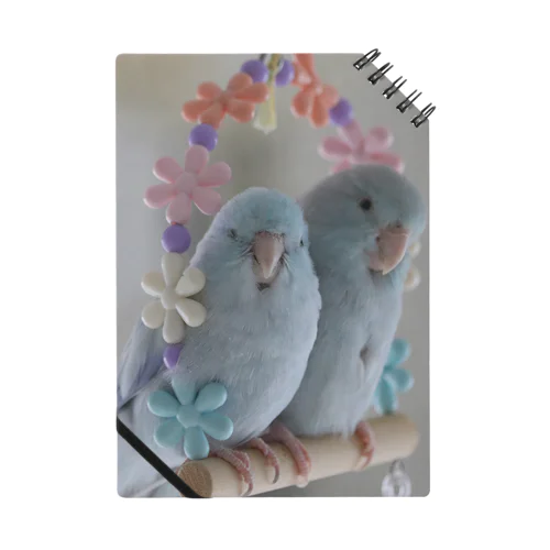 インコ兄妹ポッケとヘブン ノート