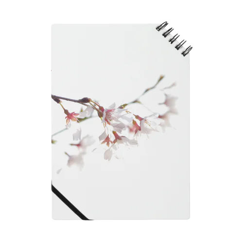 春の訪れを告げる美しい桜の花びら Notebook