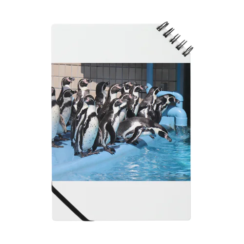水族館のペンギン ノート