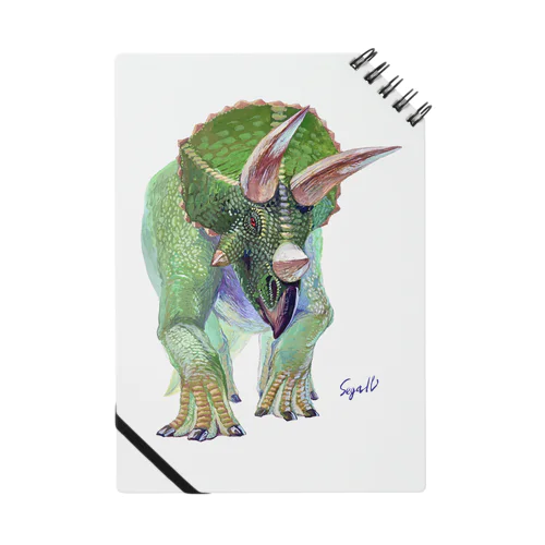 Triceratops ノート