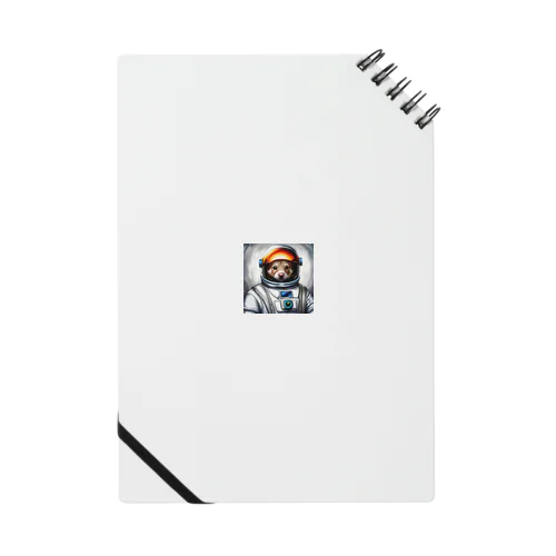 宇宙を旅するフェレット Notebook