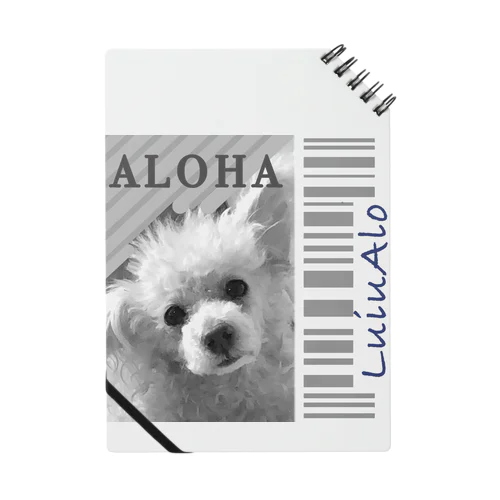 ALOHA Notebook